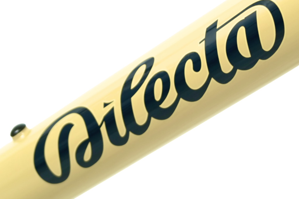 dilecta samara kit cadre